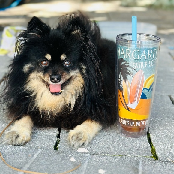 Meet your Posher, Laura - Picture 4 of 4